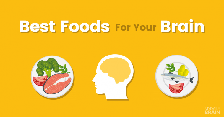 the best brain foods
